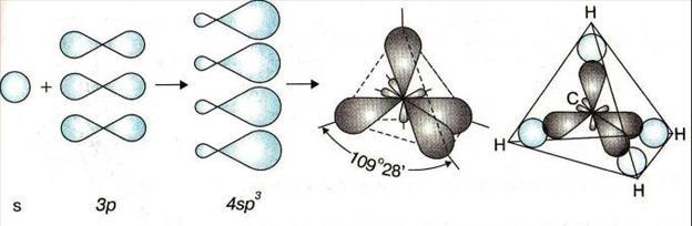 Орбитали атома углерода равнозначны по форме и энергии и направлены к вершинам тетраэдра