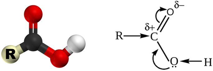 Общая формула карбоновых кислот