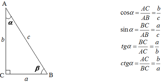 Тригонометрические соотношения в прямоугольном треугольнике