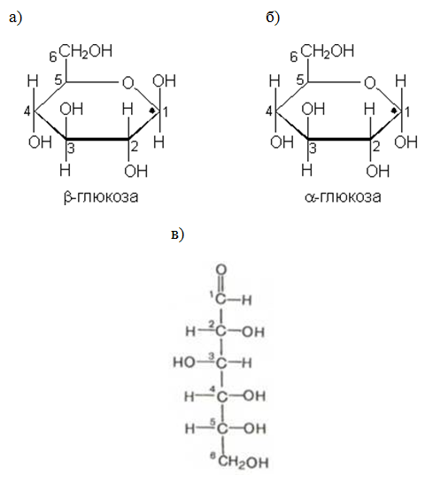  Формы существования глюкозы: а) β-глюкоза; б) α-глюкоза; в) линейная форма