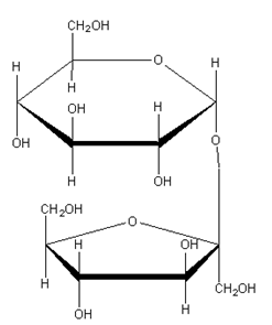 Олигосахариды. Сахароза