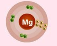 Схематичное изображение строения атома магния