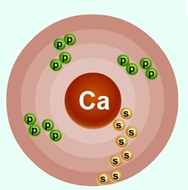 Строения атома кальция и валентность