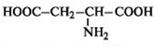 Аланин (2-аминопропановая кислота)