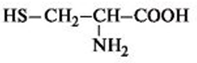 Аспаргиновая кислота (аминобутандиовая кислота)