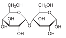 Строение молекулы мальтозы C12H22O11