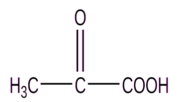 Графическая формула пировиноградной кислоты