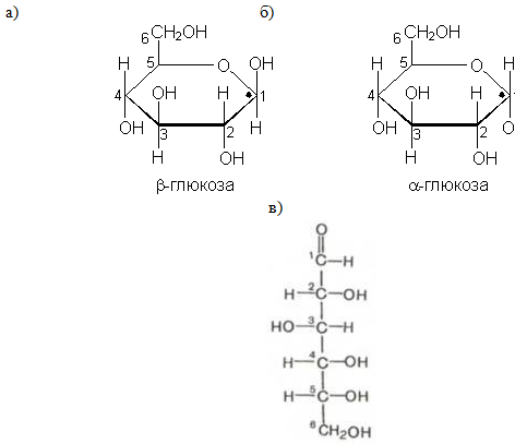Формы существования глюкозы: а) β-глюкоза; б) α-глюкоза; в) линейная форма
