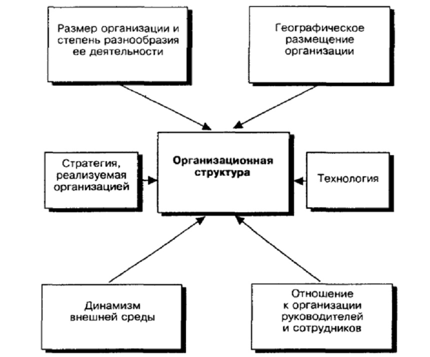 Контрольная работа: Организационные структуры и их связь с внешней средой