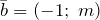 \bar{b}=\left(-1;\; m\right)