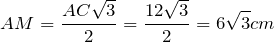 \[AM=\frac{AC\sqrt{3}}{2} =\frac{12\sqrt{3}}{2} =6\sqrt{3} cm \]