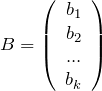 \[B=\left(\begin{array}{c} {b_{1} } \\ {b_{2} } \\ {...} \\ {b_{k} } \end{array}\right)\]
